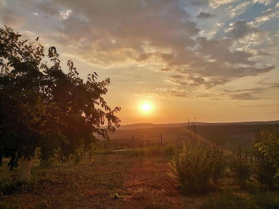 Dimitra'S Sunny Villa Mirsinochori Экстерьер фото
